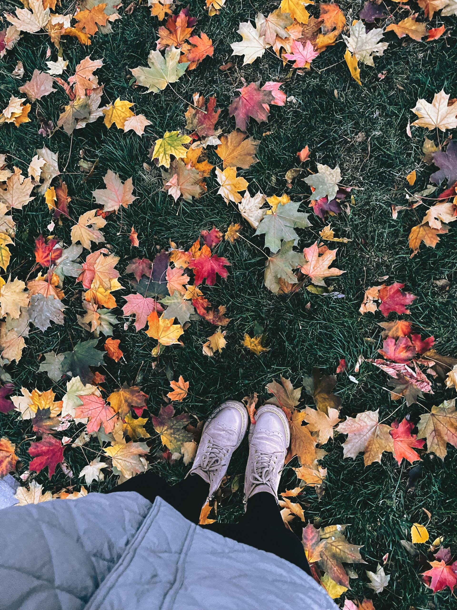 Photo by Emiliia Deviz: https://www.pexels.com/photo/colorful-fallen-autumn-leaves-on-green-grass-30350684/